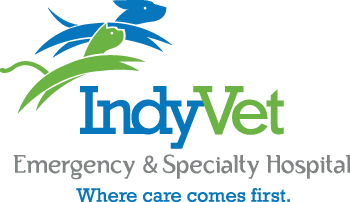 IndyVet Logo