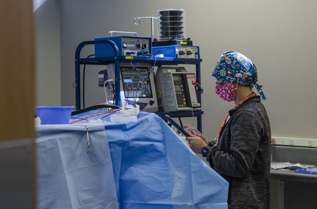 veterinary technician standing beside anesthesia equipment