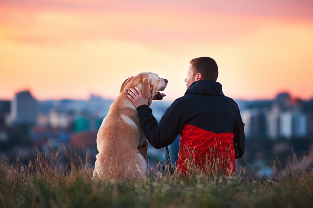 pet owner and golden retriever