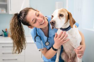 Veterinary intern with a dog