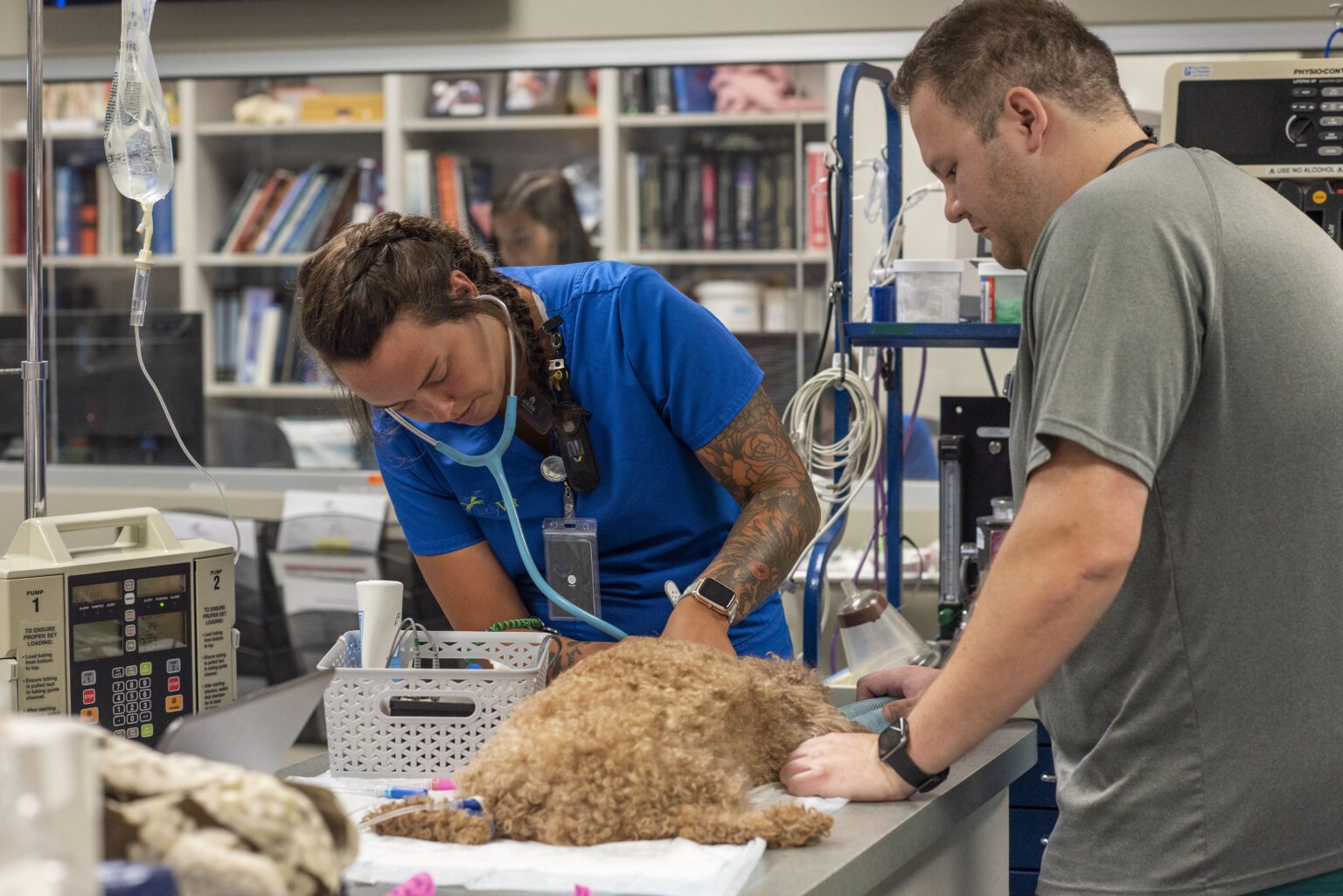 Veterinary Technician Externships IndyVet