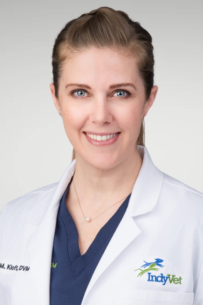 Heather Kloft DVM, Surgery at IndyVet